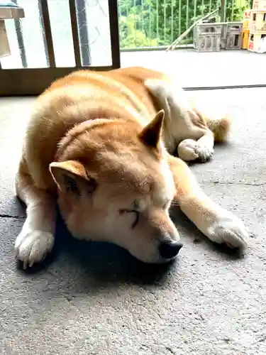 両神御嶽神社／両神山両神神社(埼玉県)