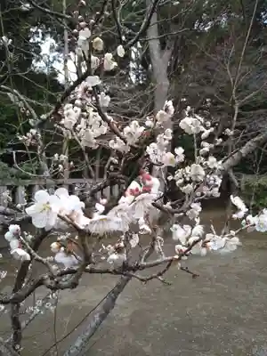 大洗磯前神社(茨城県)