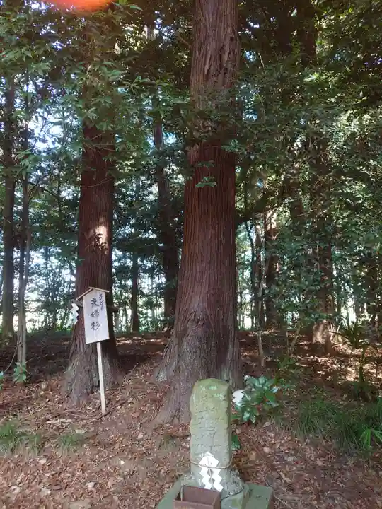 鹿嶋神社(茨城県)