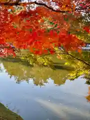 東大寺の自然