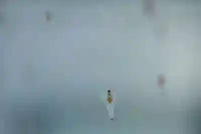 宝光寺(北海道)