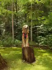 尊永寺の動物