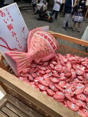 川越氷川神社のおみくじ