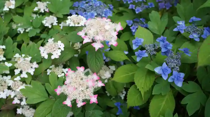 青龍山 吉祥寺(群馬県)