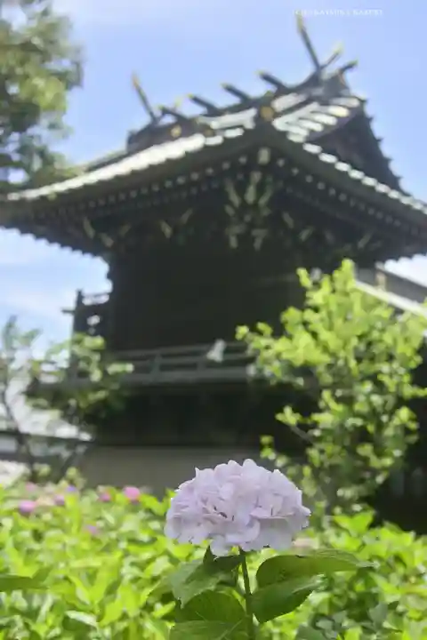 白山神社(東京都)