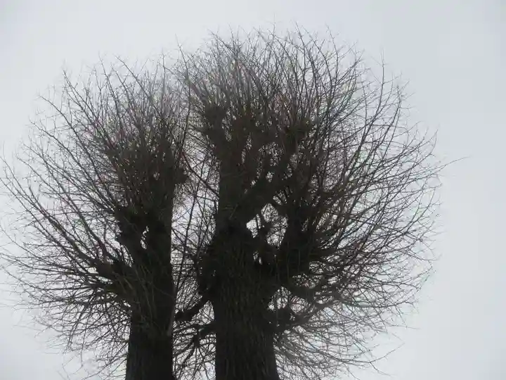 川越八幡宮(埼玉県)