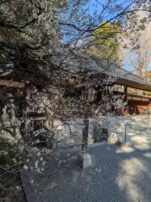 乃木神社(東京都)