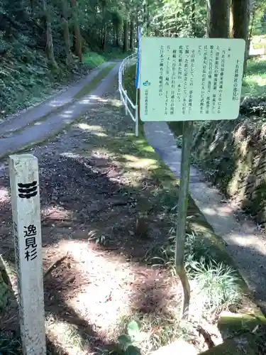 十五社神社の歴史