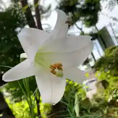 豊景神社(福島県)