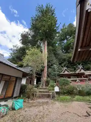 宇太水分神社（中社）(奈良県)