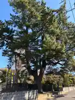 大乘院(千葉県)