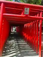 髙牟神社の鳥居