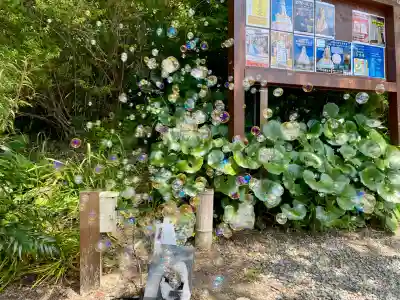 大船観音寺(神奈川県)