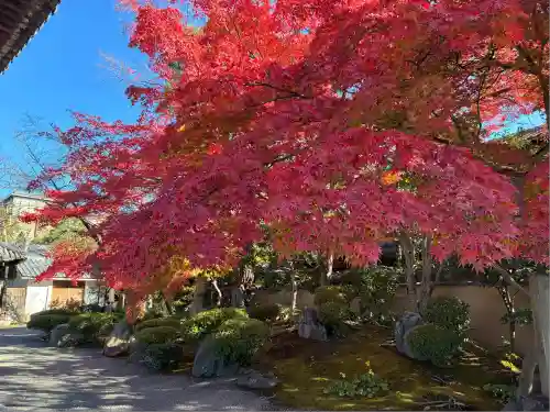 法観寺(京都府)