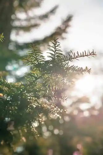 美幌神社(北海道)