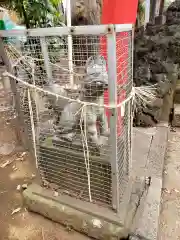 岩山稲荷神社の狛犬