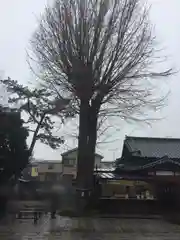 菊田神社の自然