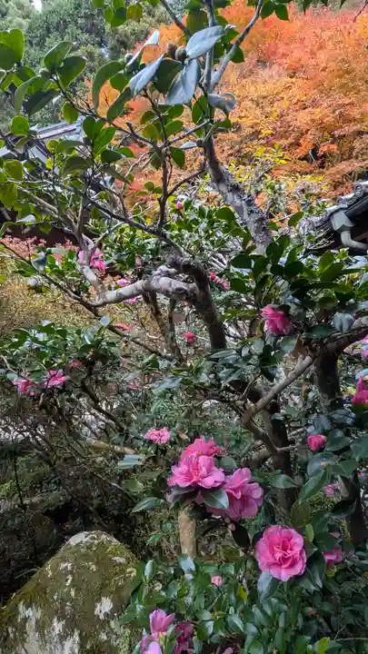寂光院(京都府)