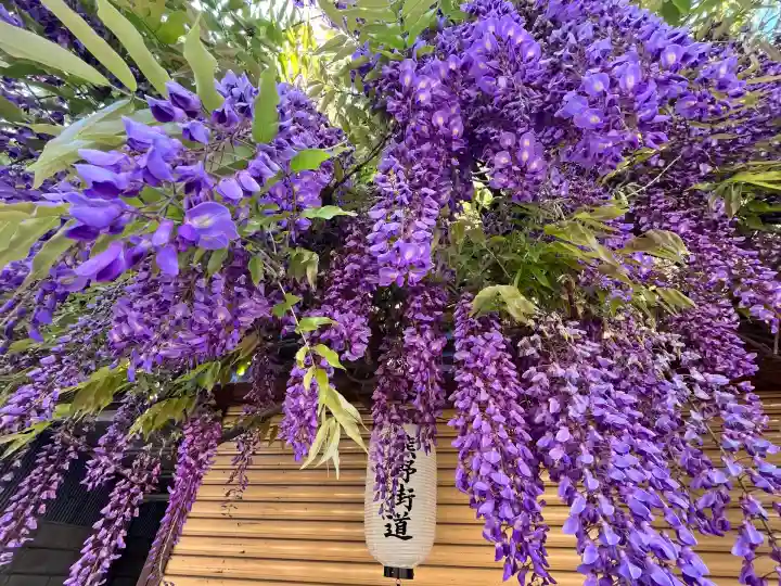 市場稲荷神社(大阪府)