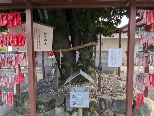 白山神社（二子町）の自然