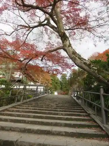 岡寺（龍蓋寺）の自然