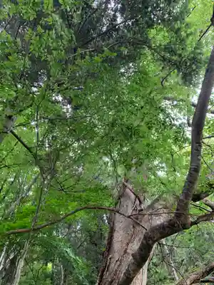 愛宕神社(福島県)