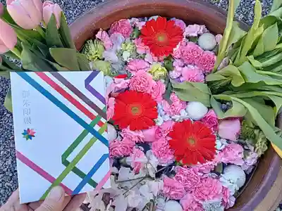 釋迦院（釈迦院）(大阪府)