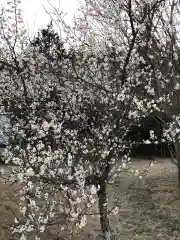 大生郷天満宮の自然