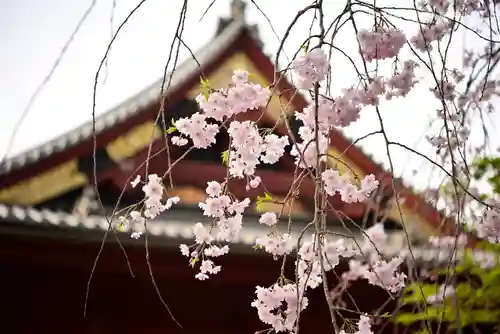 清水観音堂の自然