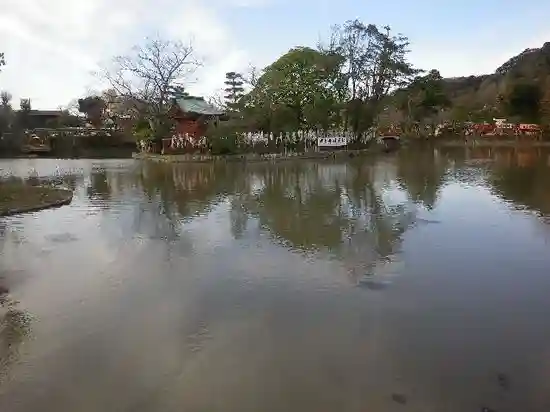 鶴岡八幡宮の庭園