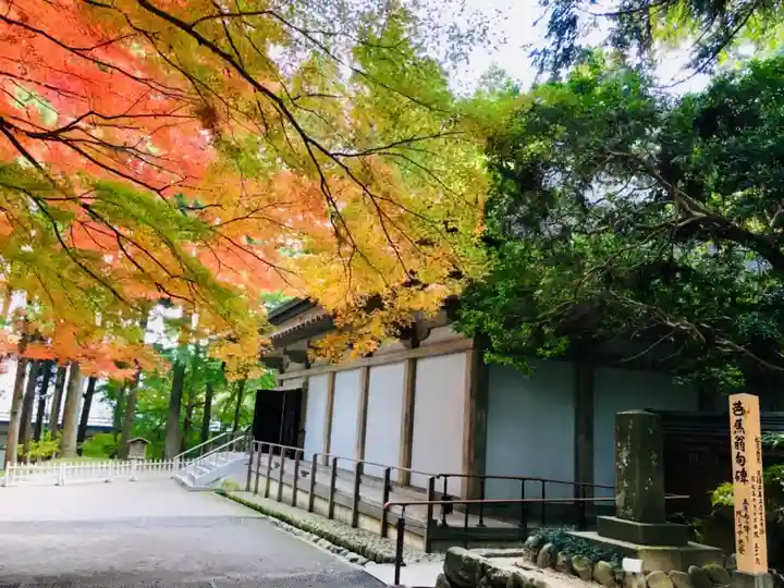 中尊寺本堂のその他建物