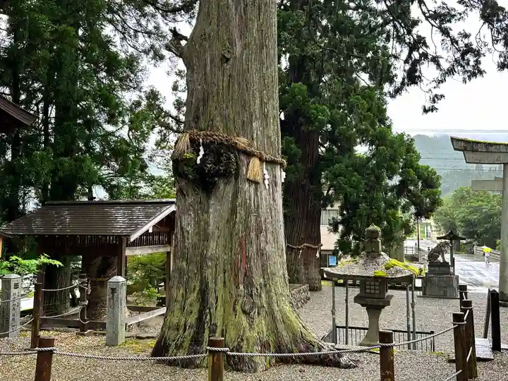 飛驒一宮水無神社(岐阜県)