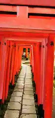 根津神社の鳥居