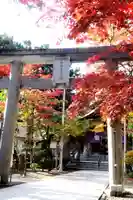 彌彦神社 (伊夜日子神社)の鳥居