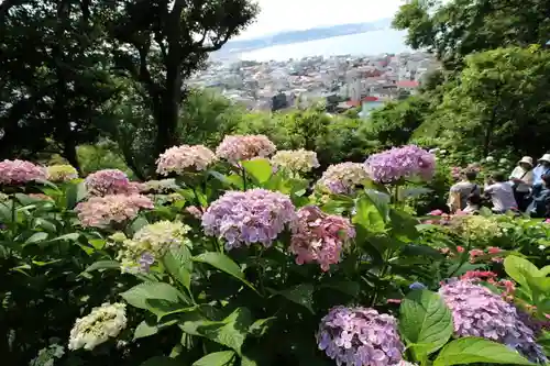 長谷寺の景色