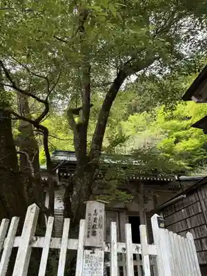 月輪寺(京都府)