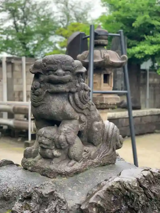 殿町水神社(水神宮)の狛犬