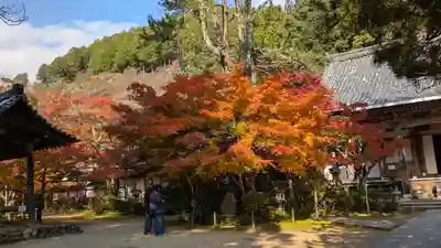 西明寺(京都府)