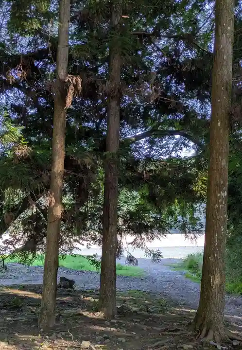 大斎原(熊野本宮大社旧社地)(和歌山県)