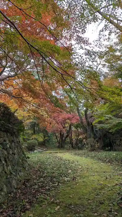 勝持寺(花の寺)(京都府)