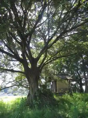神明神社(千葉県)