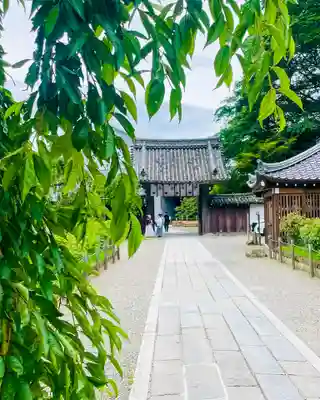 長谷寺(奈良県)