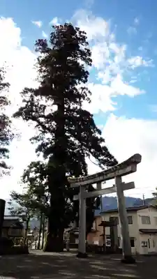 飛驒一宮水無神社の鳥居