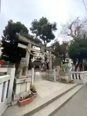 蒔田杉山神社(神奈川県)