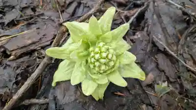 興国神社(北海道)