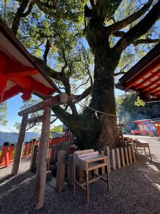 熊野那智大社(和歌山県)