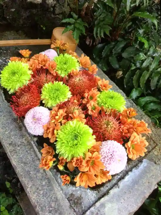 本郷氷川神社(東京都)