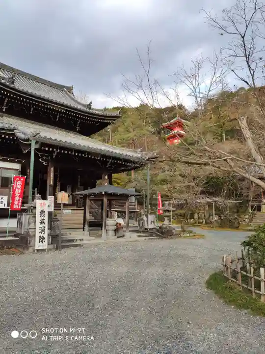 今熊野観音寺の本殿・本堂