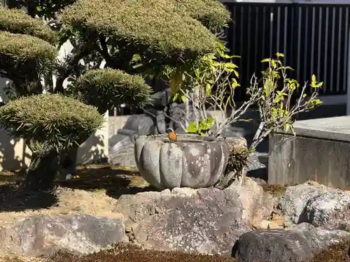 西方山極楽寺(岐阜県)