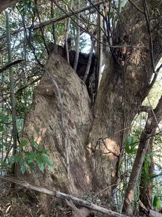 金比羅神社(千葉県)